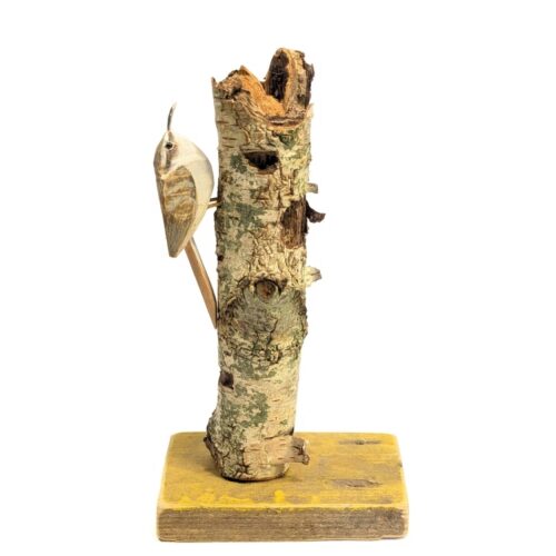 Wood Carved Tree Creeper on Wood