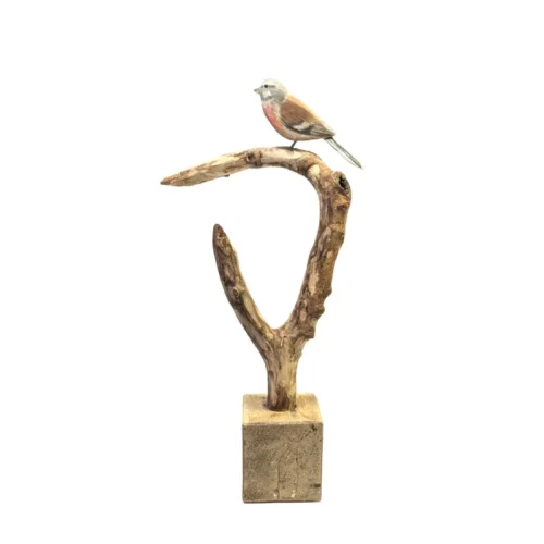 Wood Carved Common Linnet